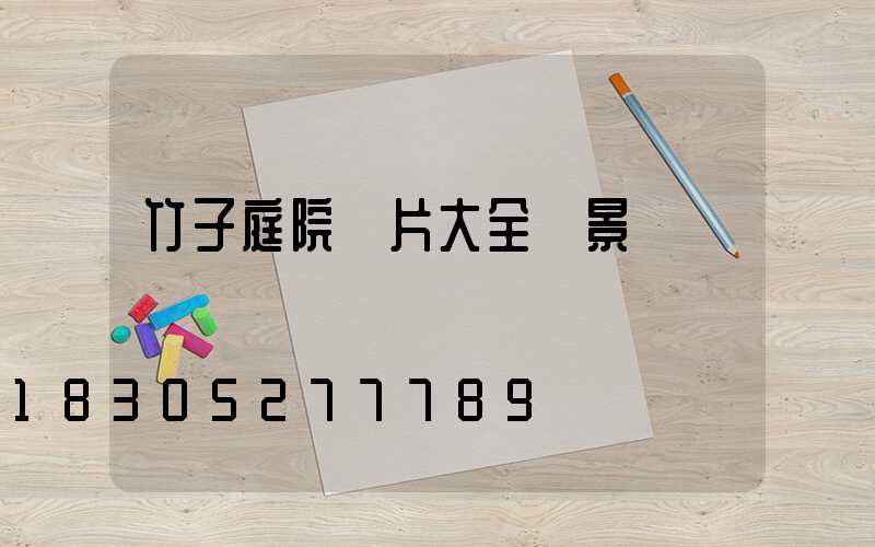 竹子庭院圖片大全 景觀